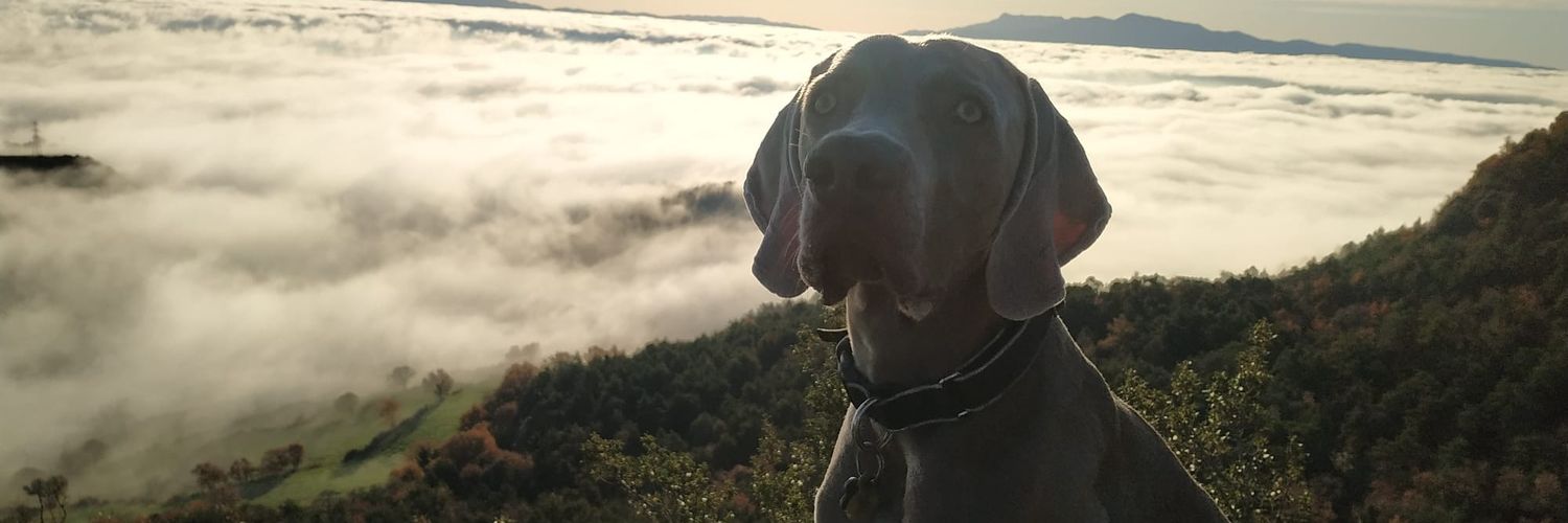 GmmaCrous's profile banner image