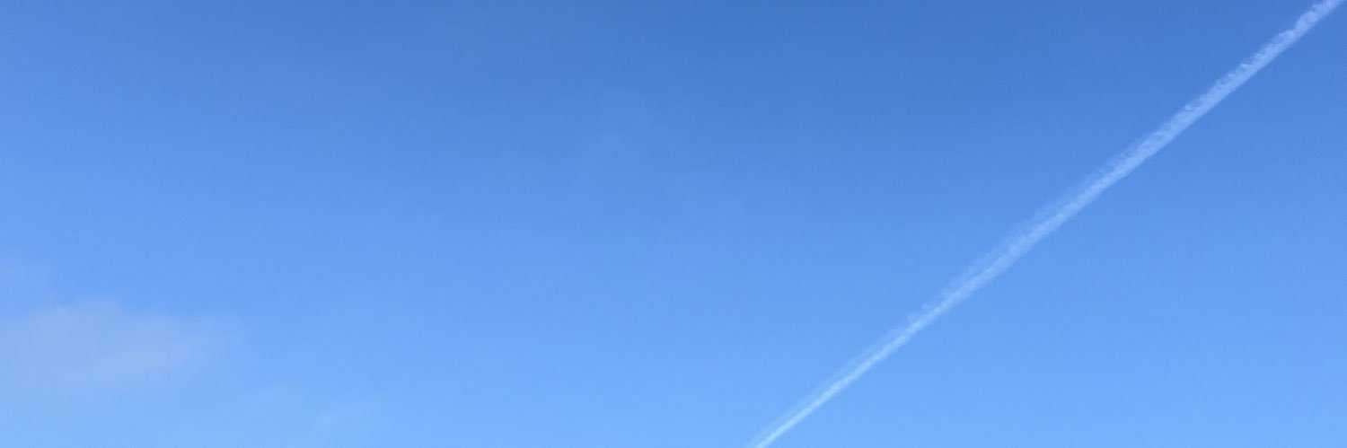rini 🦋 banner