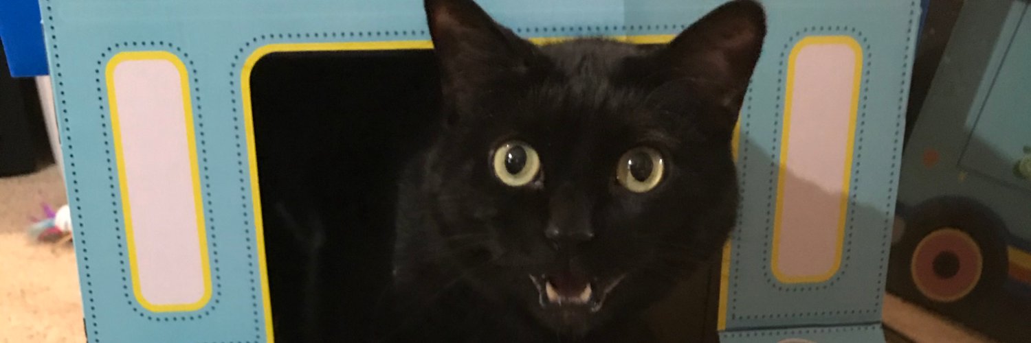 Maybe: Ross White banner