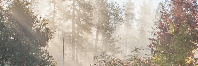 MH_Youth's profile banner image