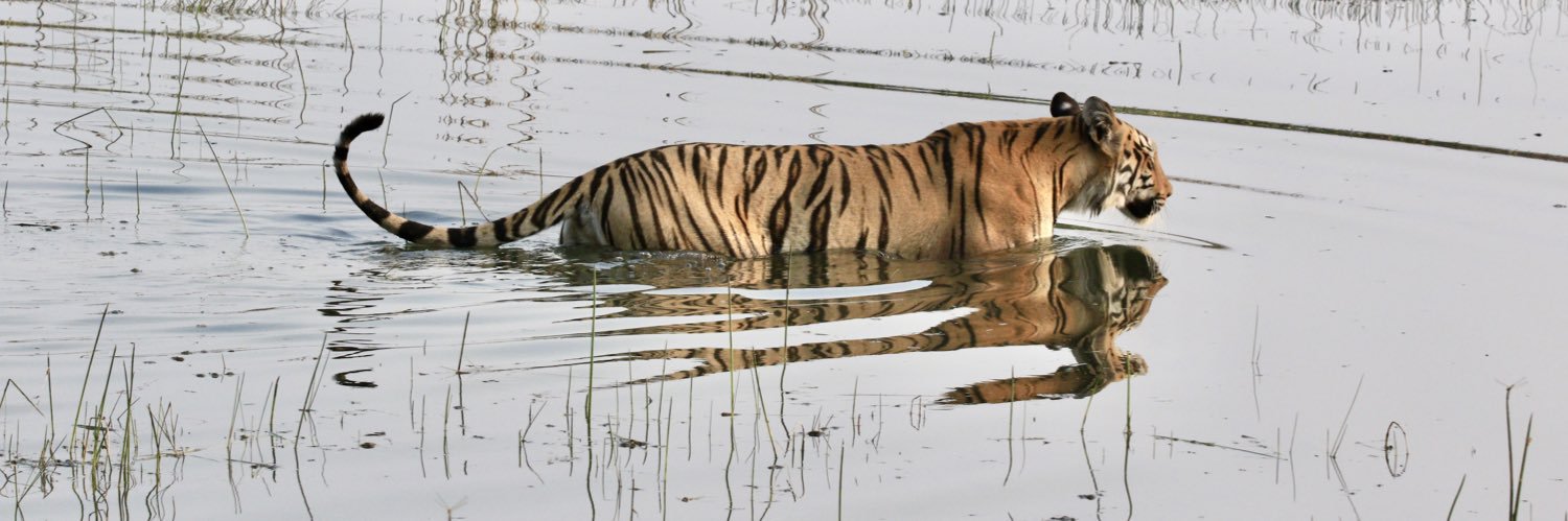AnandMadabhushi banner