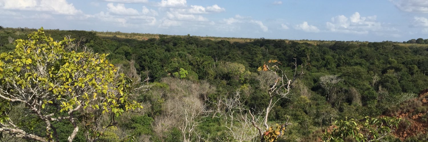 fernandornm's profile banner image