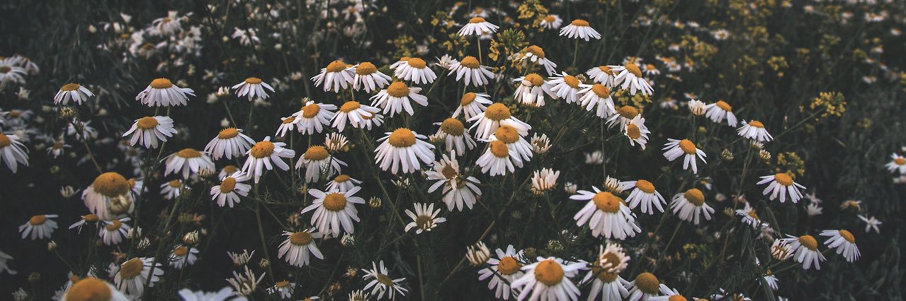Candraa17's profile banner image