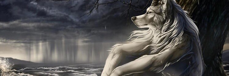 raid4an's profile banner image