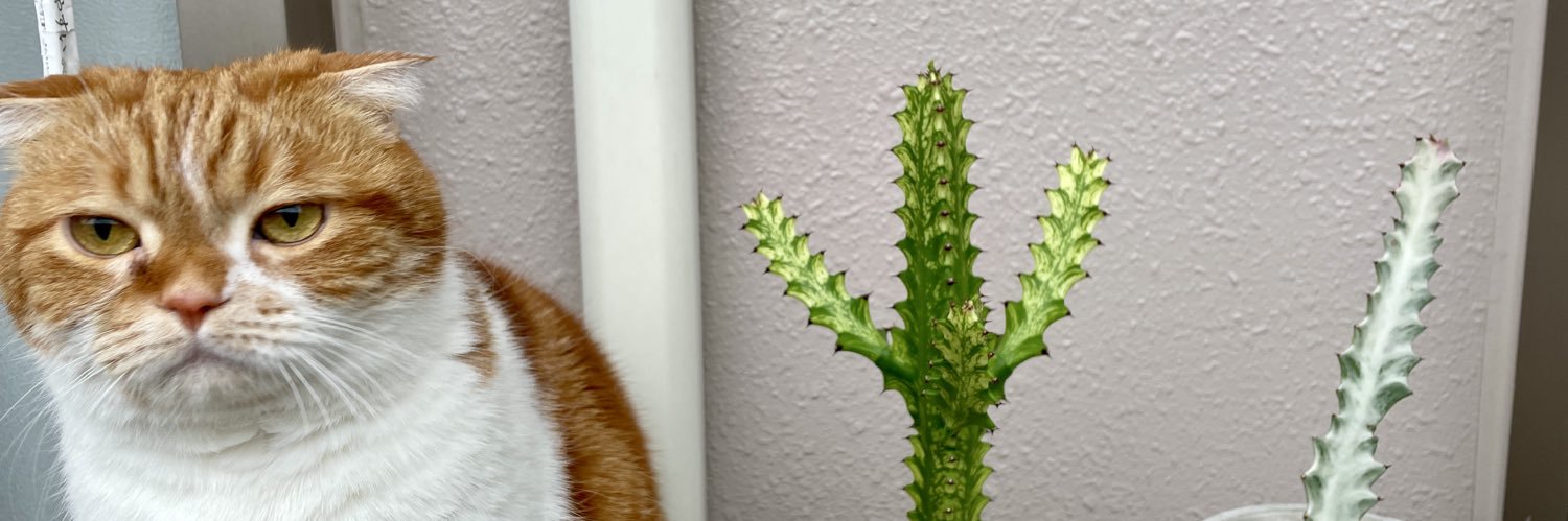 のりぞう 凪と梛 banner