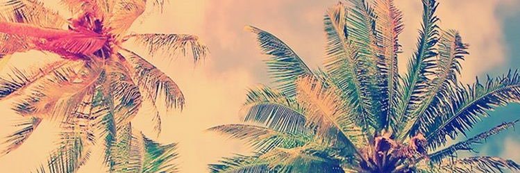 DydySmith's profile banner image