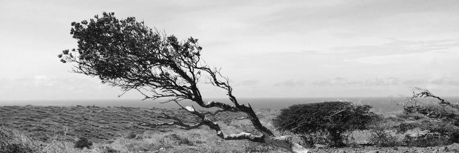 ScottMorrison banner