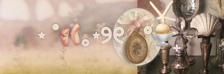 YS. banner