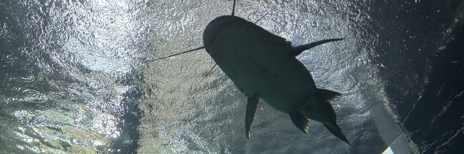 OrojasBarbosa's profile banner image