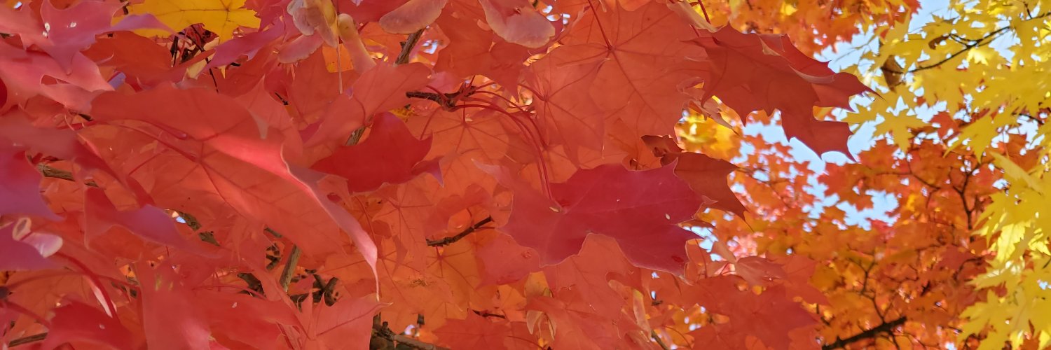 Greg @infotrekcalgary🦋 🇨🇦🌻🇺🇦 born@323ppmCO2 banner