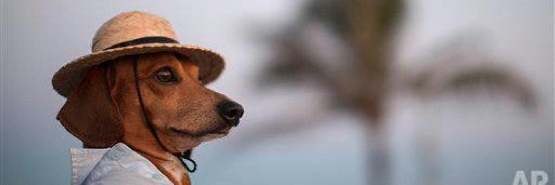 G. Jason Head banner