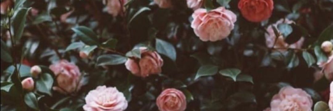 Storm of emotions banner