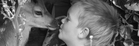 rewildingthesoil banner