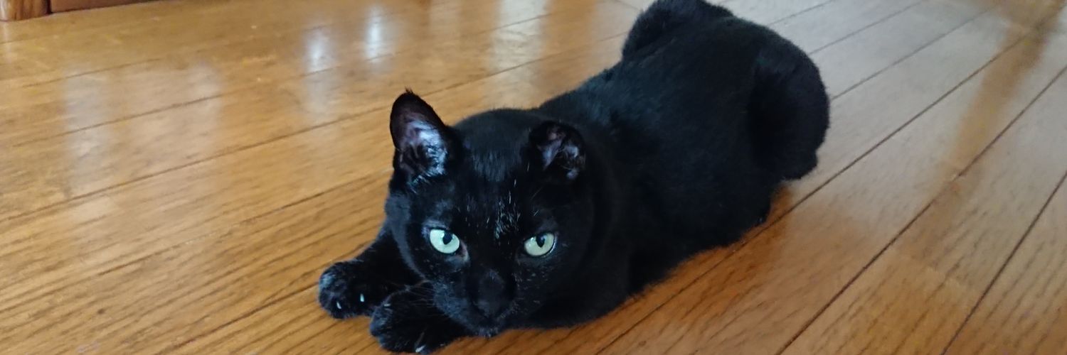 メタルFD🦇 banner