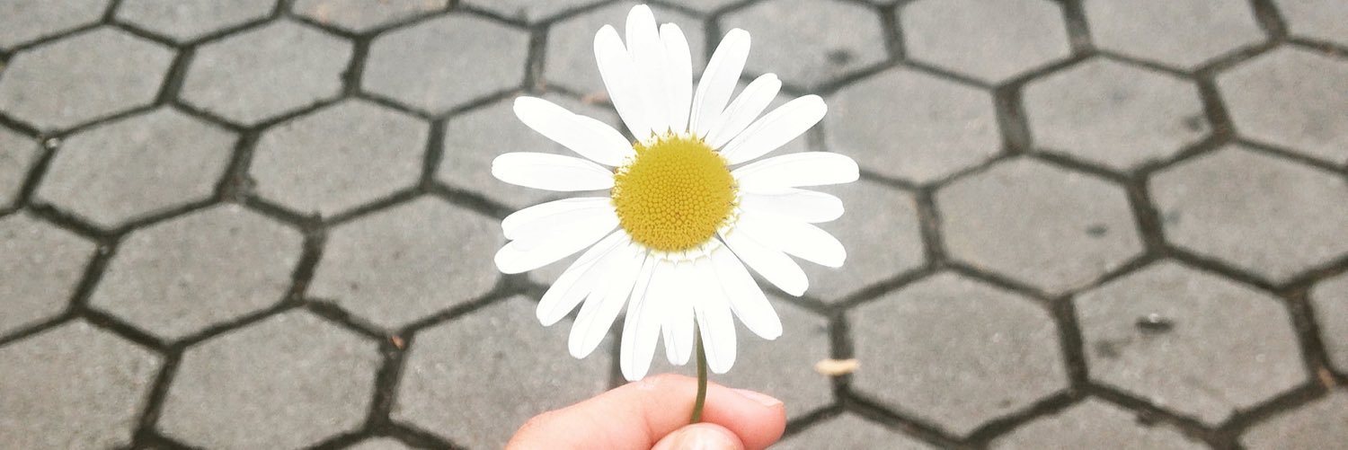 decasampaio's profile banner image