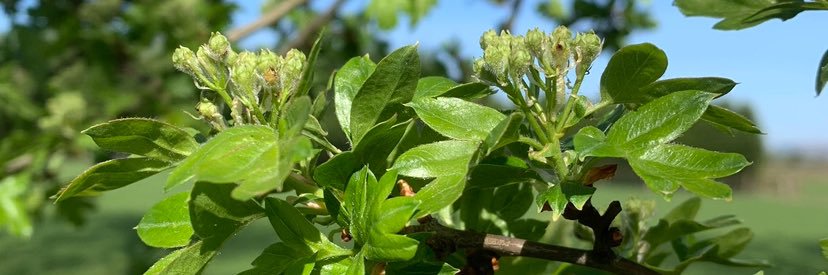 🐶🦄Dr. Rafael Roth🐱🐿🎗️ banner