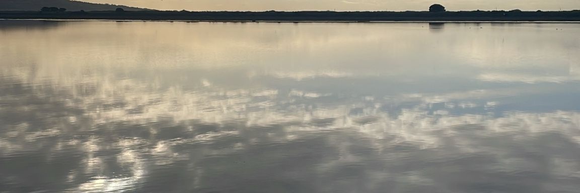 axonware's profile banner image