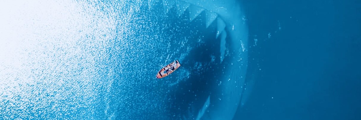 GatorNemoHoes's profile banner image