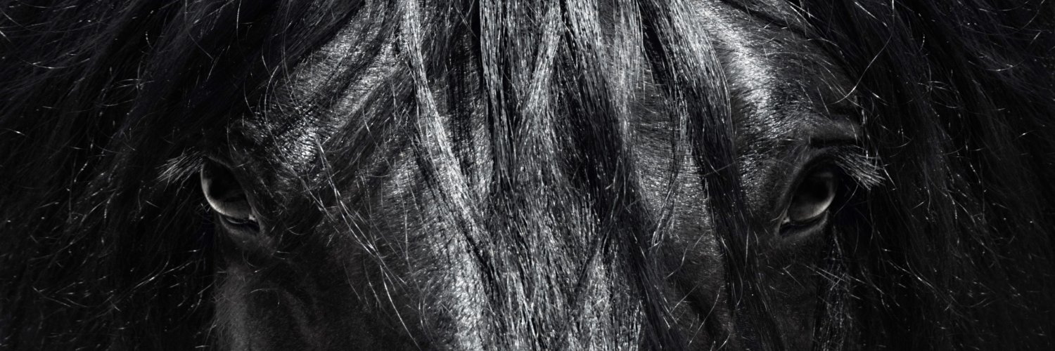 Offshorehunter banner