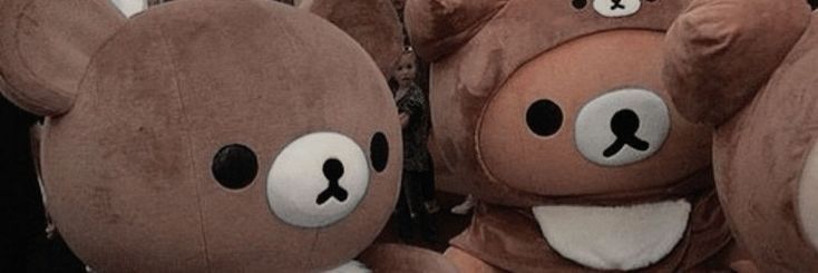 Thamiris Santana. banner