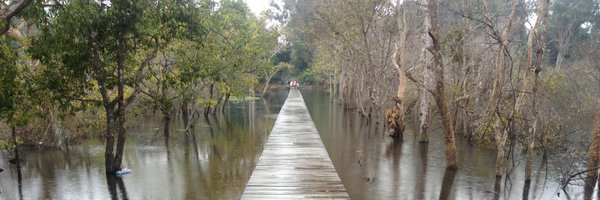 Jaykay91 Profile Banner