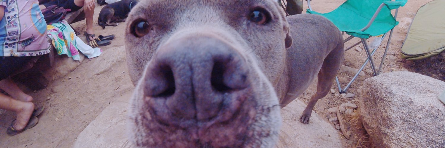 Mobabayyyy's profile banner image