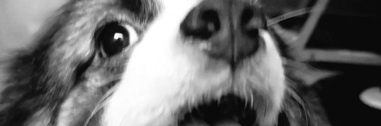 _drumwoon's profile banner image