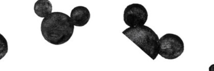 mariia_mouse's profile banner image