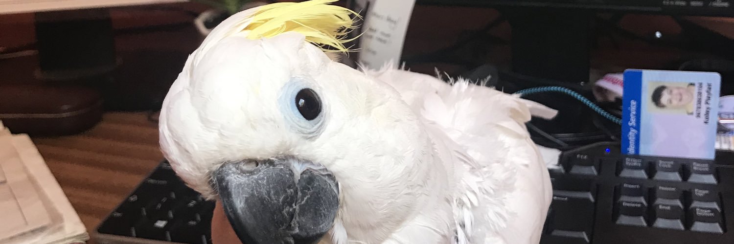 playfairkel's profile banner image