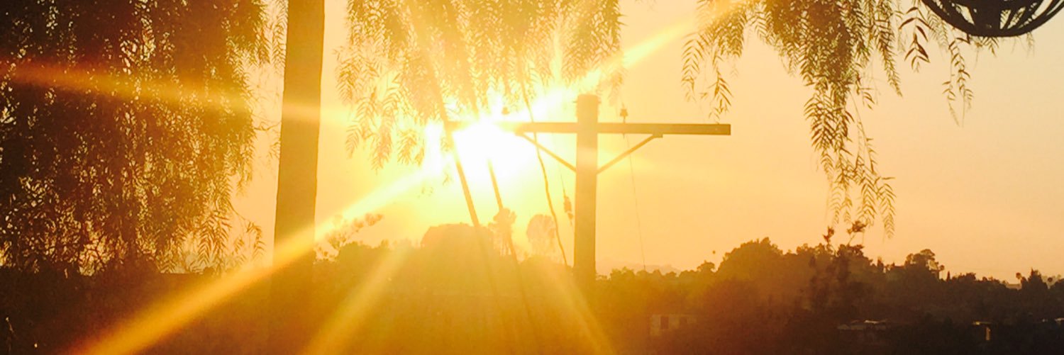 mmalherbe's profile banner image