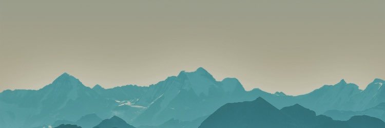 Not Bleach banner