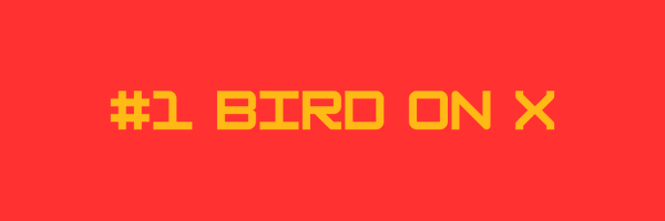 TheStreamingOwl Profile Banner
