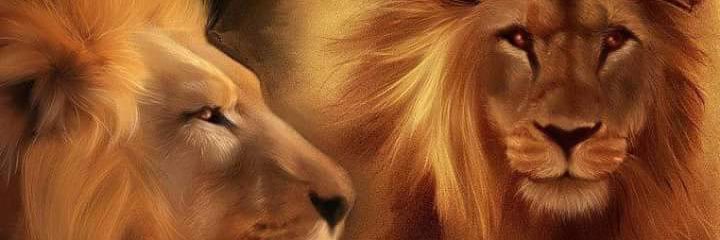samikr2's profile banner image