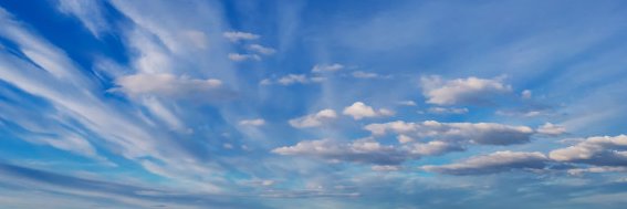 lagunillastyle's profile banner image