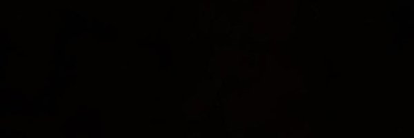 essumann_ Profile Banner