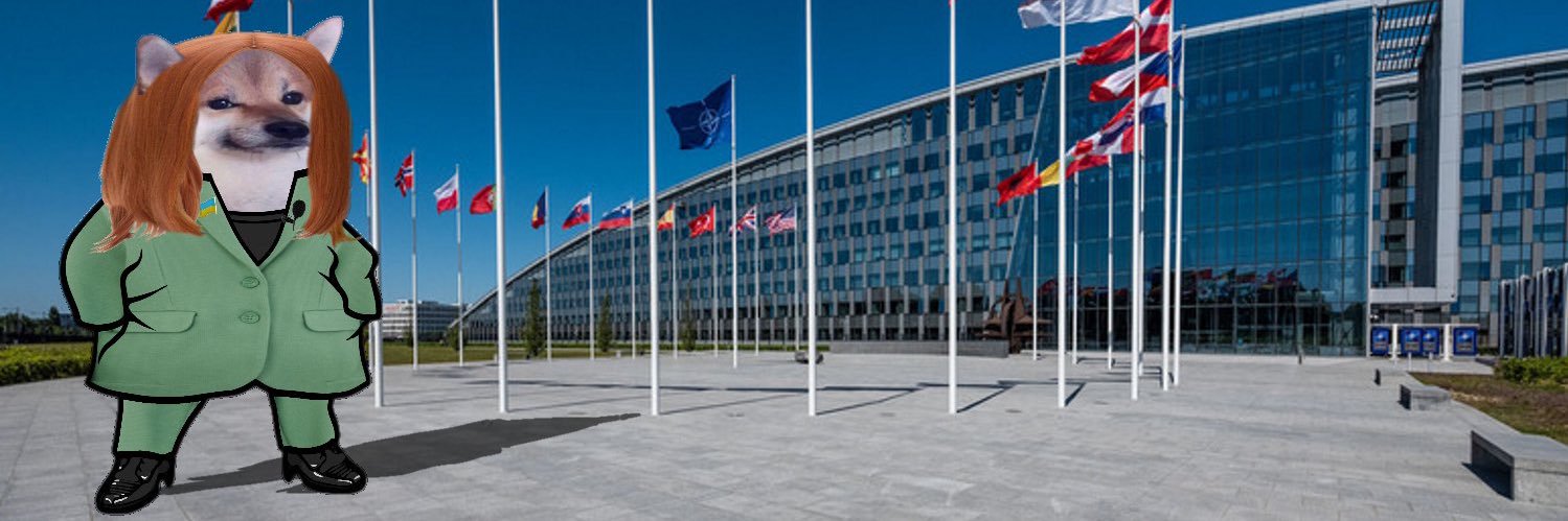 Beata Patasova banner