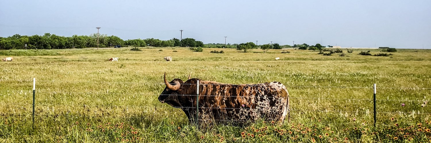 𝐜/𝐨 𝐋𝐢𝐬𝐚 𝐌𝐚𝐫𝐢𝐞 ██████ banner