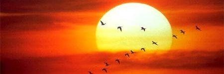 rafafageca's profile banner image