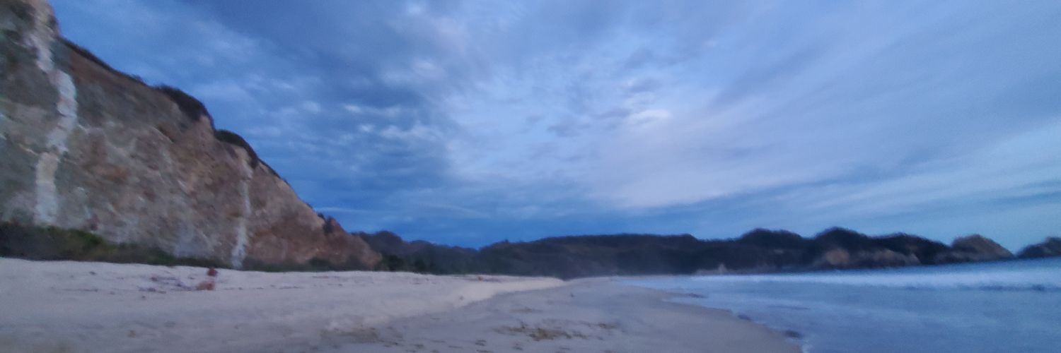 sandyluvis's profile banner image
