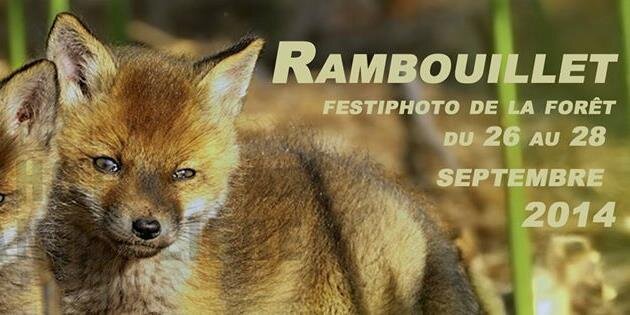 FestiphoNews's profile banner image