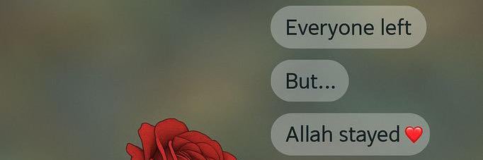 sugamontel's profile banner image