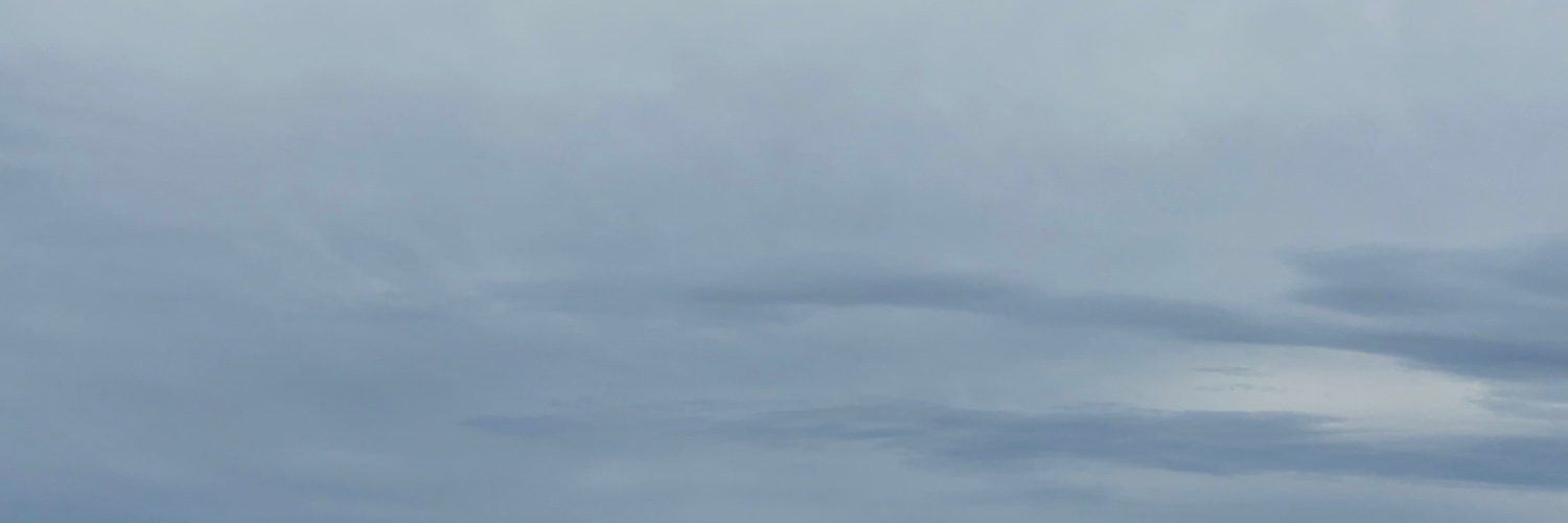 meganmcf's profile banner image
