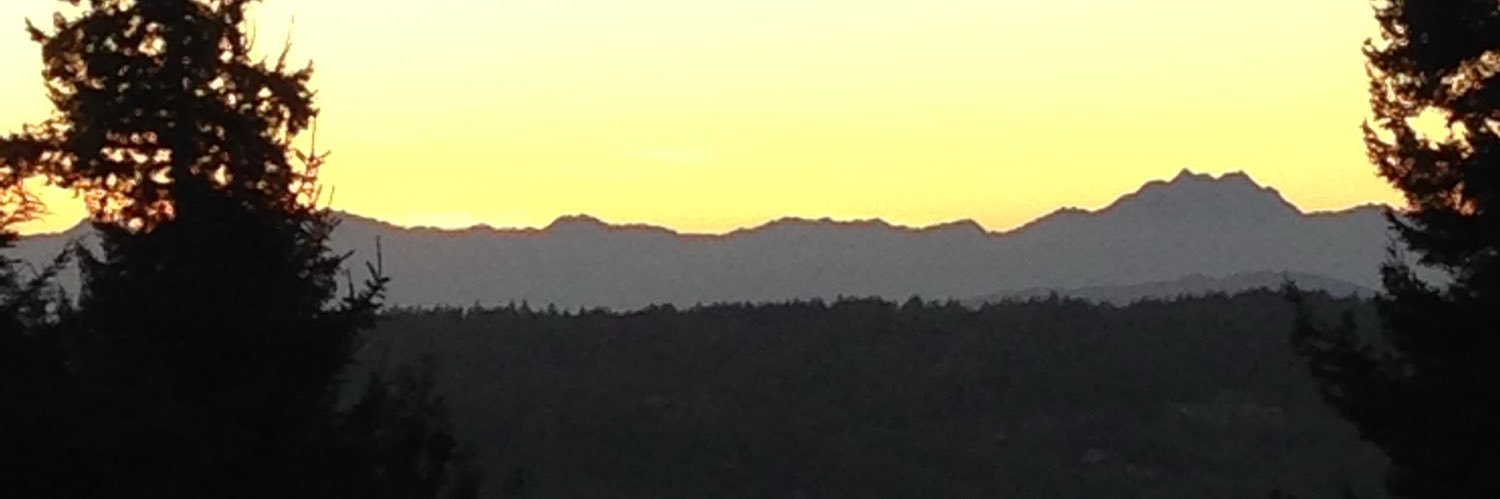 Lord Checkerberry banner