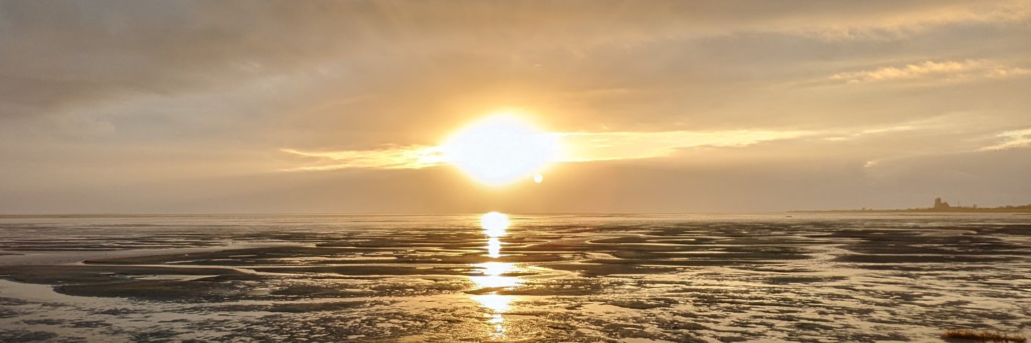 Bexbli's profile banner image