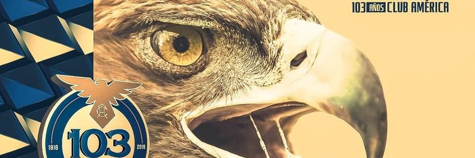 Hugo (Bruce Weird) banner