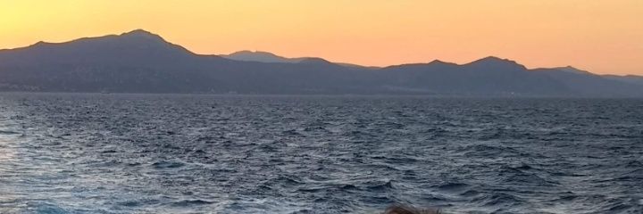 Alis Rodríguez banner