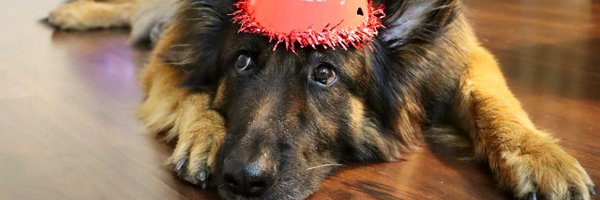 _TheLastMile Profile Banner