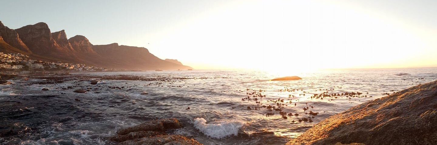 Anthony Fish Hodgson banner