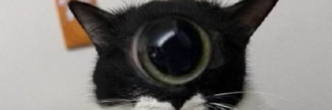 Fiiatte's profile banner image