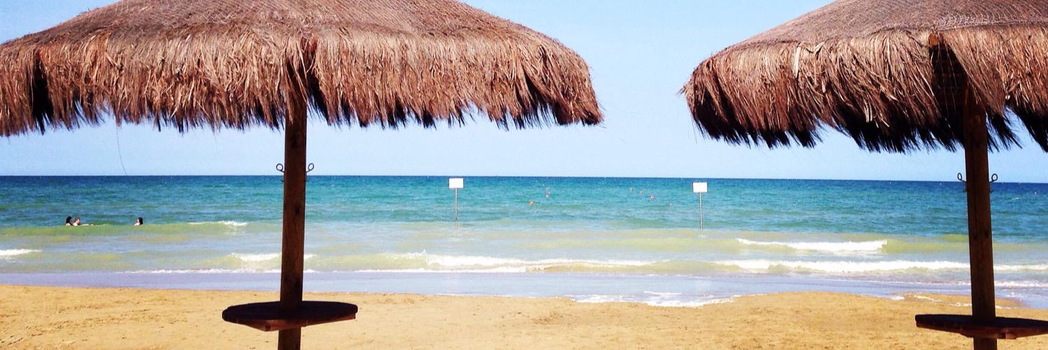 Alessandra Cuppini banner